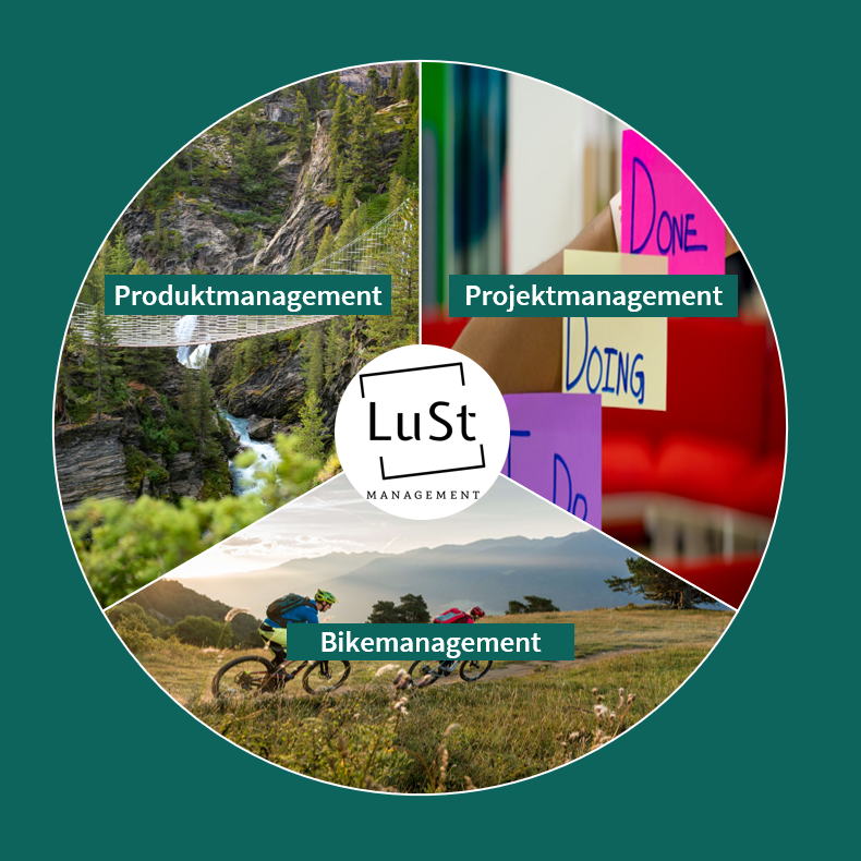 Produktmanagement, Projektmanagement, Bikemanagement